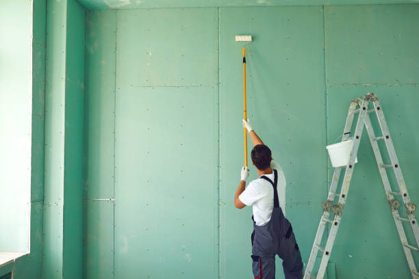 Best Residential Mold Inspection & Testing  in Bonner Springs, KS